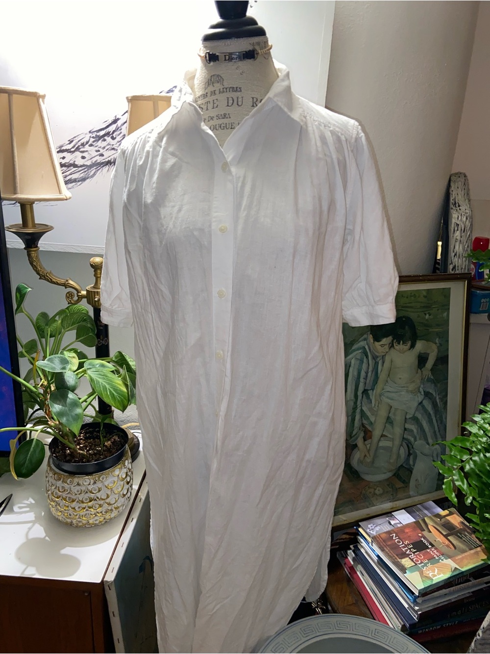 Wilfred white linen button down dress.